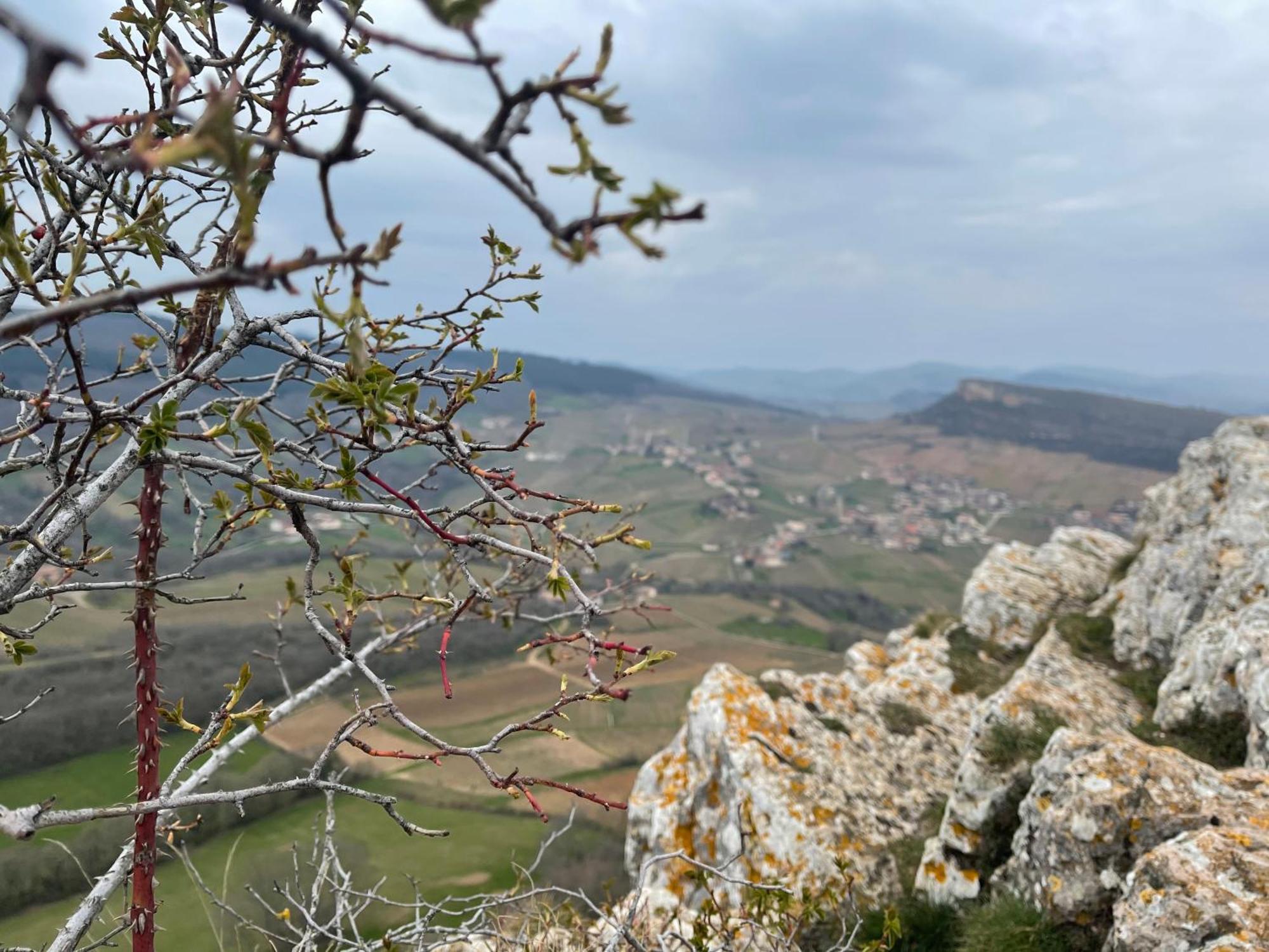 La Tablee Medievale Civrieux-dʼAzergues Екстериор снимка